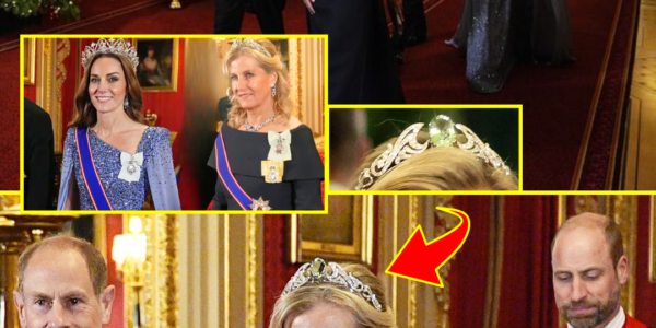 OMG!! Duchess Sophie’s £1 Million Tiara STEALS the SHOW as She & Princess Catherine Step Into CRUCIAL Roles at German State Banquet — The Historic Story Leaves Windsor SPEECHLESS
