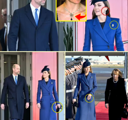 OMG! Princess Catherine R0CKED The World With SH0CKING MESSAGE Through Her Outfit at the German State Visit OMG! Princess Catherine R0CKED The World With SH0CKING MESSAGE Through Her Outfit at the German State Visit