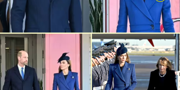 OMG! Princess Catherine R0CKED The World With SH0CKING MESSAGE Through Her Outfit at the German State Visit