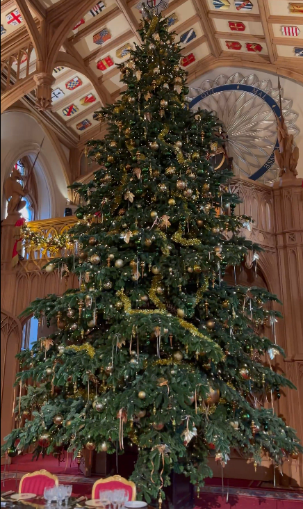 A large Christmas tree decorated with gold ornaments and lights, set in a grand hall with a vaulted, painted ceiling.