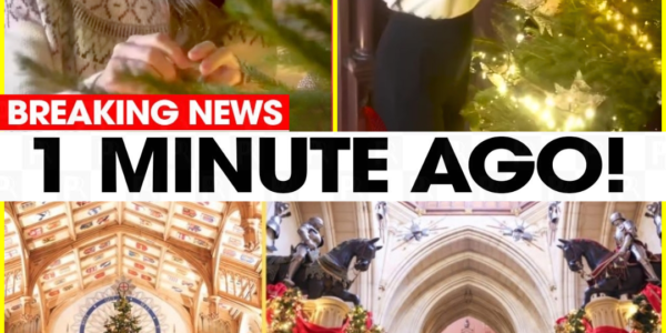 “WE’RE READY NOW”: Princess Catherine just DROVE royal fans wild with the most SH0CKING Christmas makeover Windsor Castle has EVER seen — and even the royal staff were left gasping behind closed doors!