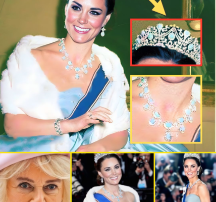 BREAKING: “The Entire Palace Froze — She Looked Like a Queen Already”: Princess Catherine STUNS in Shimmering Gown and Late Queen’s £1.2M Tiara, Leaving Camilla SPEECHLESS 😱👇👇 BREAKING: “The Entire Palace Froze — She Looked Like a Queen Already”: Princess Catherine STUNS in Shimmering Gown and Late Queen’s £1.2M Tiara, Leaving Camilla SPEECHLESS 😱👇👇