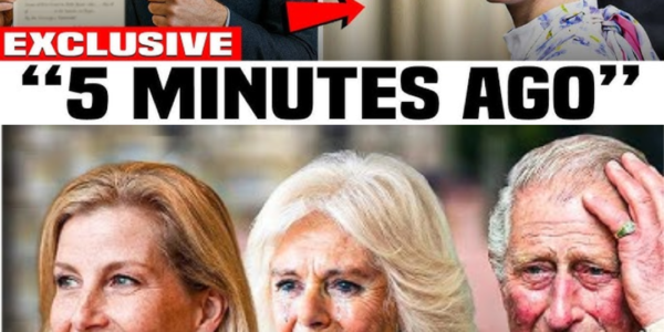 BREAKING: Buckingham Palace TREMBLES After Prince William Approved Title Change For Duchess Sophie and Prince Edward’s Children!