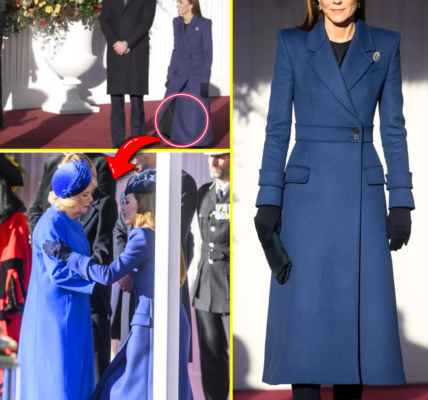 REVEALED: Camilla’s AWKWARD 9-Word Towards Princess Catherine At German President’s Reception Left Her SPEECHLESS