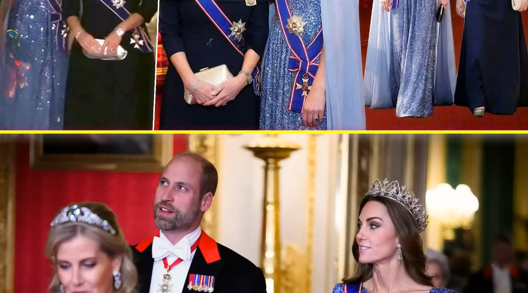 All Eyes on Catherine & Sophie at German State Banquet — Shimmering Gowns, Jaw-Dropping Tiaras & a SH0CKING Message to the World! All Eyes on Catherine & Sophie at German State Banquet — Shimmering Gowns, Jaw-Dropping Tiaras & a SH0CKING Message to the World!