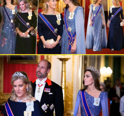 All Eyes on Catherine & Sophie at German State Banquet — Shimmering Gowns, Jaw-Dropping Tiaras & a SH0CKING Message to the World!