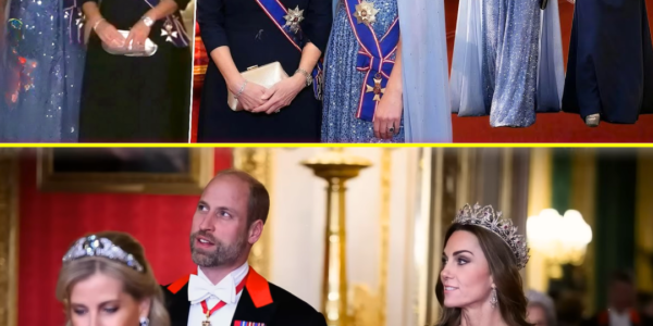 All Eyes on Catherine & Sophie at German State Banquet — Shimmering Gowns, Jaw-Dropping Tiaras & a SH0CKING Message to the World!