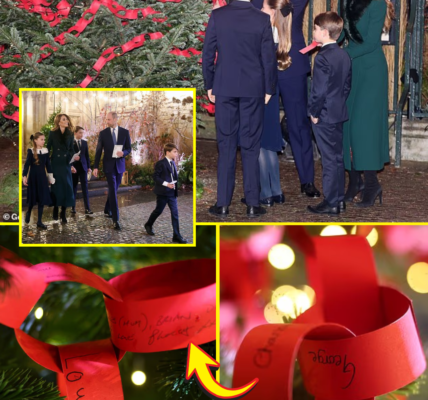 HEARTWARMING MOMENT: George, Charlotte & Louis Melt Hearts as Wales Family Add Sweet Messages to Christmas Tree Paper Chain