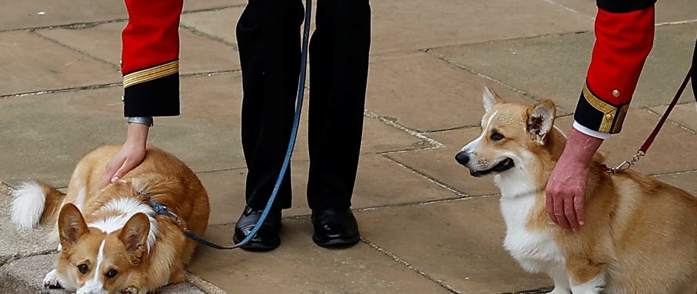 BREAKING: The Fate of Late Queen’s Final Corgis FINALLY SEALED As Fergie Prepares To FLEE UK For New £3.6m Seafront Mansion — Palace’s LATEST Announcement Leaves Everyone STUNNED! 😱👇 BREAKING: The Fate of Late Queen’s Final Corgis FINALLY SEALED As Fergie Prepares To FLEE UK For New £3.6m Seafront Mansion — Palace’s LATEST Announcement Leaves Everyone STUNNED! 😱👇
