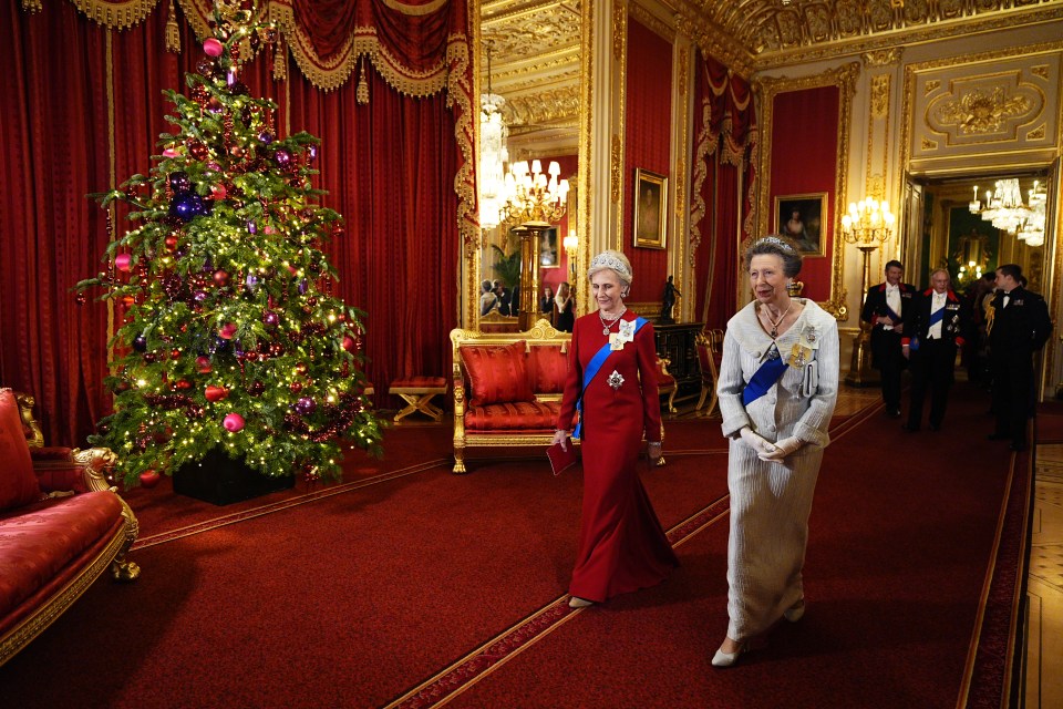 The Duchess of Gloucester and the Princess Royal ahead of the state banquet for the German President and his wife at Windsor Castle.