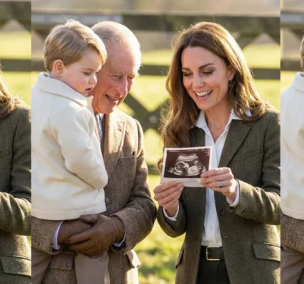 King Charles fell into an emotional state. King Charles fell into an emotional state.