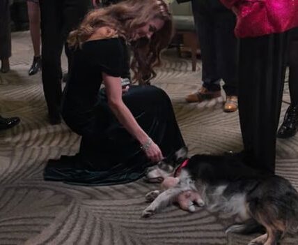 She Forgot the Cameras, the Crown — and Followed Her Heart 🥹🐾 Catherine stunned royal watchers when she paused a formal event to pet a dog, sharing a spontaneous, joyful exchange no one could script.