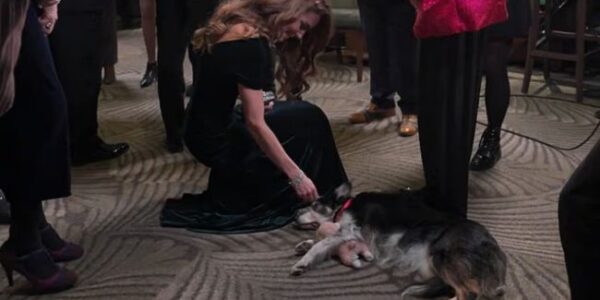 She Forgot the Cameras, the Crown — and Followed Her Heart 🥹🐾 Catherine stunned royal watchers when she paused a formal event to pet a dog, sharing a spontaneous, joyful exchange no one could script.