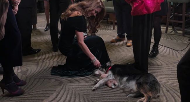 She Forgot the Cameras, the Crown — and Followed Her Heart 🥹🐾 Catherine stunned royal watchers when she paused a formal event to pet a dog, sharing a spontaneous, joyful exchange no one could script.