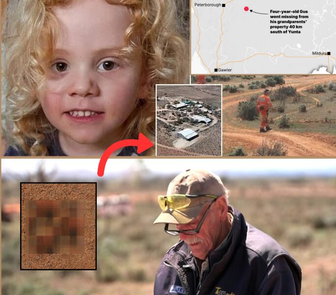 ROYALS IN SILENCE: How William & Catherine Quietly Stole Christmas Eve at Sandringham