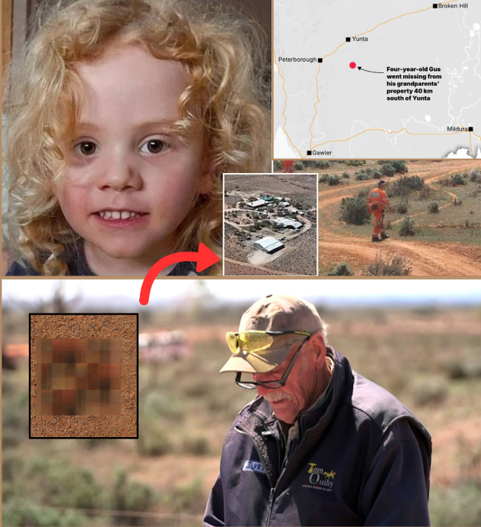 ROYALS IN SILENCE: How William & Catherine Quietly Stole Christmas Eve at Sandringham