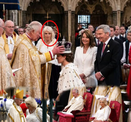 THE MONARCHY IN CHAOS! 😱 The atmosphere in the room didn’t just turn cold—it froze. –