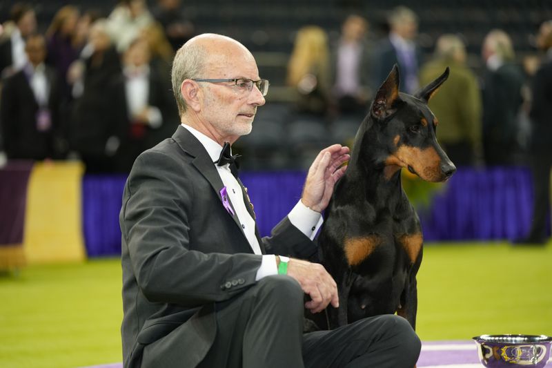 Doberman named Penny wins Westminster dog show By Reuters
