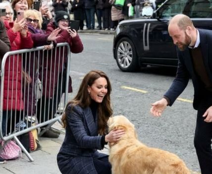 “It was just a dog — and yet all of Scotland melted.” In the middle of a tightly scheduled walkabout, surrounded by crowds and royal protocol, Prince William and Princess Catherine suddenly dropped to their knees — not for ceremony, but to play with No warning. No choreography. Just laughter, warmth For a few brief seconds, the formality vanished. The crowd fell silent — then smiled. What people saw wasn’t royalty, but two human beings choos. In the cold Scottish air, that small, unscripted moment did something extraordinary: it softened everyone watching. It reminded them that the most powerful gestures are often the simplest ones.