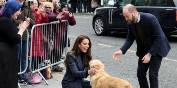 “It was just a dog — and yet all of Scotland melted.” In the middle of a tightly scheduled walkabout, surrounded by crowds and royal protocol, Prince William and Princess Catherine suddenly dropped to their knees — not for ceremony, but to play with No warning. No choreography. Just laughter, warmth For a few brief seconds, the formality vanished. The crowd fell silent — then smiled. What people saw wasn’t royalty, but two human beings choos. In the cold Scottish air, that small, unscripted moment did something extraordinary: it softened everyone watching. It reminded them that the most powerful gestures are often the simplest ones. “It was just a dog — and yet all of Scotland melted.” In the middle of a tightly scheduled walkabout, surrounded by crowds and royal protocol, Prince William and Princess Catherine suddenly dropped to their knees — not for ceremony, but to play with No warning. No choreography. Just laughter, warmth For a few brief seconds, the formality vanished. The crowd fell silent — then smiled. What people saw wasn’t royalty, but two human beings choos. In the cold Scottish air, that small, unscripted moment did something extraordinary: it softened everyone watching. It reminded them that the most powerful gestures are often the simplest ones.