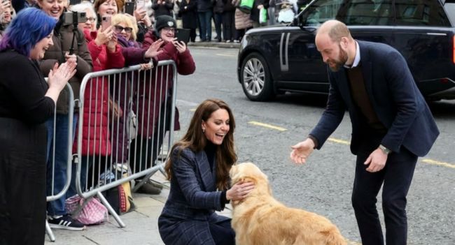 “It was just a dog — and yet all of Scotland melted.” In the middle of a tightly scheduled walkabout, surrounded by crowds and royal protocol, Prince William and Princess Catherine suddenly dropped to their knees — not for ceremony, but to play with No warning. No choreography. Just laughter, warmth For a few brief seconds, the formality vanished. The crowd fell silent — then smiled. What people saw wasn’t royalty, but two human beings choos. In the cold Scottish air, that small, unscripted moment did something extraordinary: it softened everyone watching. It reminded them that the most powerful gestures are often the simplest ones.
