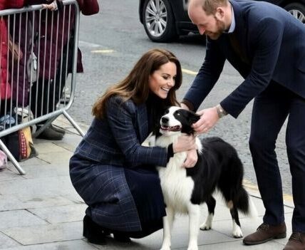 CROWDS IN SCOTLAND THOUGHT IT WOULD BE ALL PROTOCOL — UNTIL A DOG RAN UP AND WILLIAM & CATHERINE DID THIS. In the middle of a packed royal schedule, the Waleses suddenly dropped the formal act when an eager local dog dashed into the scene — and instead of stepping back, they leaned in. A bit of teasing, a few laughs, and one surprisingly playful moment later… the crowd was completely won over. No stiff smiles. No scripted waves. Just real, spontaneous joy that made everyone say: “Wait… did that just happen?”