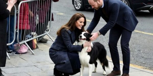 CROWDS IN SCOTLAND THOUGHT IT WOULD BE ALL PROTOCOL — UNTIL A DOG RAN UP AND WILLIAM & CATHERINE DID THIS. In the middle of a packed royal schedule, the Waleses suddenly dropped the formal act when an eager local dog dashed into the scene — and instead of stepping back, they leaned in. A bit of teasing, a few laughs, and one surprisingly playful moment later… the crowd was completely won over. No stiff smiles. No scripted waves. Just real, spontaneous joy that made everyone say: “Wait… did that just happen?”