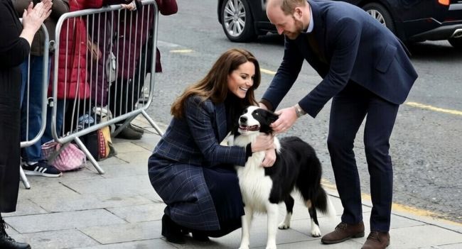 CROWDS IN SCOTLAND THOUGHT IT WOULD BE ALL PROTOCOL — UNTIL A DOG RAN UP AND WILLIAM & CATHERINE DID THIS. In the middle of a packed royal schedule, the Waleses suddenly dropped the formal act when an eager local dog dashed into the scene — and instead of stepping back, they leaned in. A bit of teasing, a few laughs, and one surprisingly playful moment later… the crowd was completely won over. No stiff smiles. No scripted waves. Just real, spontaneous joy that made everyone say: “Wait… did that just happen?”