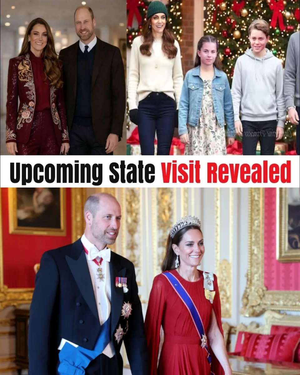 The Palace Finally Breaks Silence on Kate’s Next Move! 👑😱