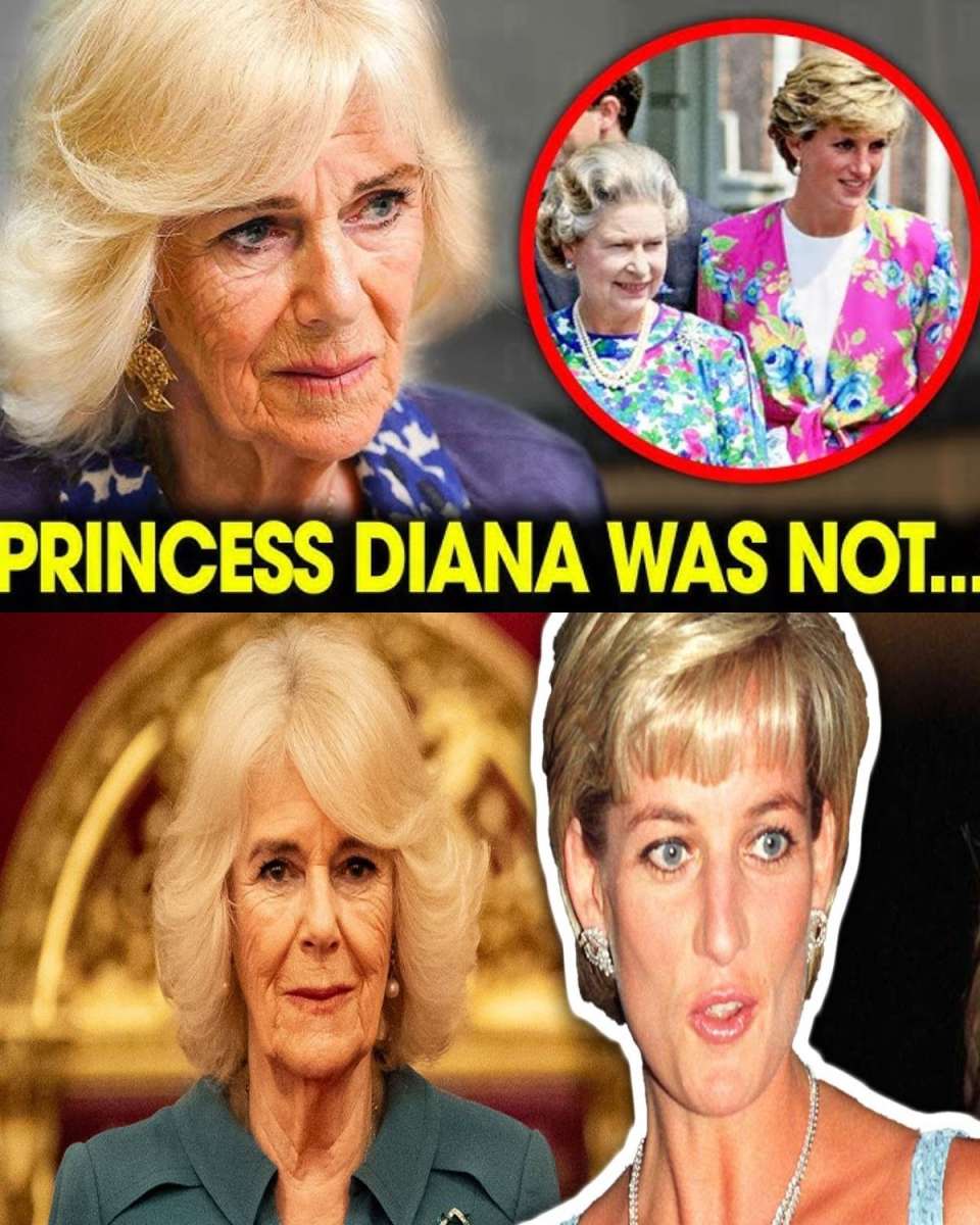 Queen Camilla Breaks Silence! ⚠️👑