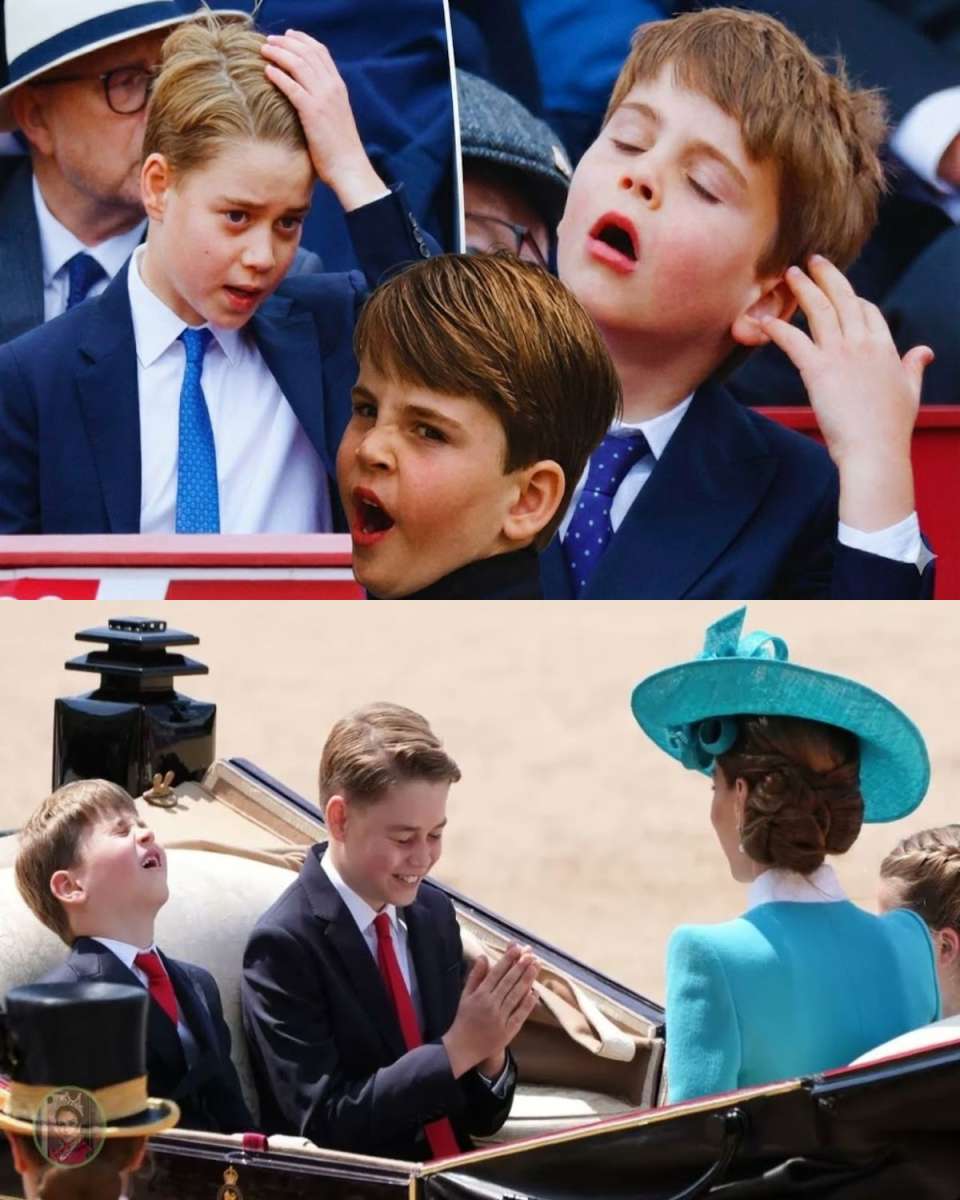 📸 What Did Prince Louis Just Do to George?!