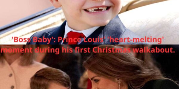 Prince Louis’ ‘heart-melting’ moment during his first Christmas walkabout.