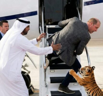 A tumultuous flight… typical of Saudi Arabian tycoons A tumultuous flight… typical of Saudi Arabian tycoons