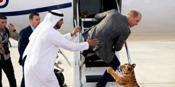 A tumultuous flight… typical of Saudi Arabian tycoons