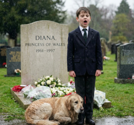 A dog appeared from nowhere, as if to say something, lying at the prince’s feet. “I never met you, Mother… But I know you’re listening.” Prince Louis’s touching tribute to Princess Diana moved the Royal Family.