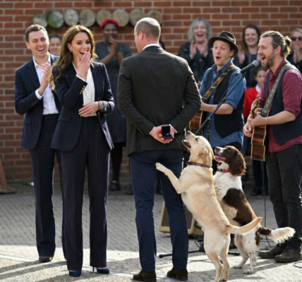 The dogs excitedly jumped on the gift, almost revealing the secret. You’ve never seen a future King like this! In a moment that’s going viral, Prince William completely broke royal protocol. –