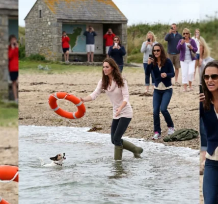 A Lifebuoy for a Drowning Dog