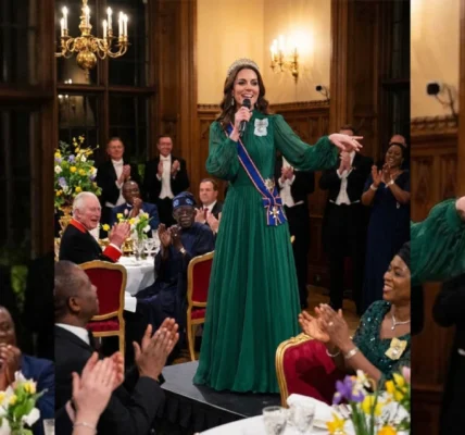 The Princess of Wales shone at the state reception for the President of Nigeria.