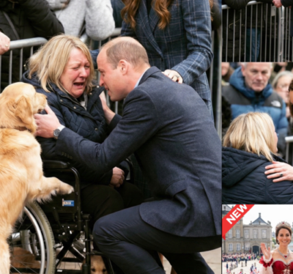 Royal protocols? Apparently, they vanished in an instant! Prince William reportedly brought a formal procession to a halt, unexpectedly veering into the waiting crowd to share a heartfelt embrace with a woman using a wheelchair.