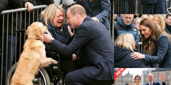 Royal protocols? Apparently, they vanished in an instant! Prince William reportedly brought a formal procession to a halt, unexpectedly veering into the waiting crowd to share a heartfelt embrace with a woman using a wheelchair.