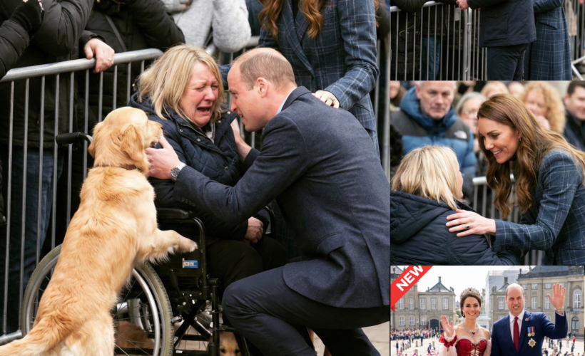 Royal protocols? Apparently, they vanished in an instant! Prince William reportedly brought a formal procession to a halt, unexpectedly veering into the waiting crowd to share a heartfelt embrace with a woman using a wheelchair.