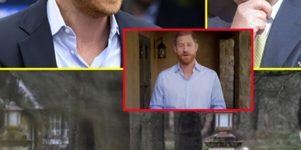 PALACE IN CHAOS: Prince Harry Drops SH0CKING Announcement Hours after uncle Andrew Mountbatten-Windsor’s Arrest