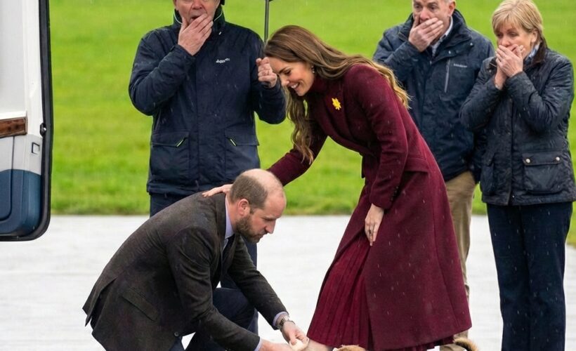 “A royal disaster turned into the most romantic moment ever!” 🚨❤️