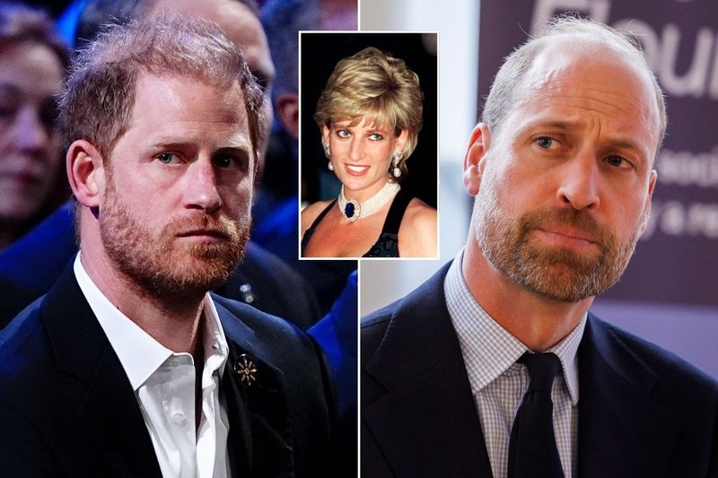 Prince Harry and Prince William left 'important warnings' by ...