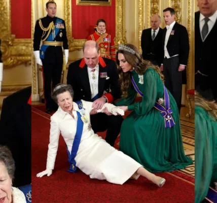 Princess Anne’s Accident at the Palace Ceremony