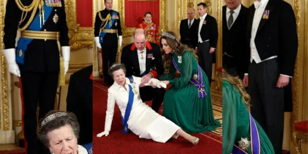 Princess Anne’s Accident at the Palace Ceremony