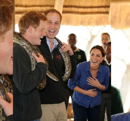 Prince William and Prince Harry’s Best Brotherly Banter!