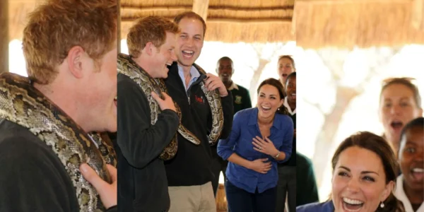 Prince William and Prince Harry’s Best Brotherly Banter!