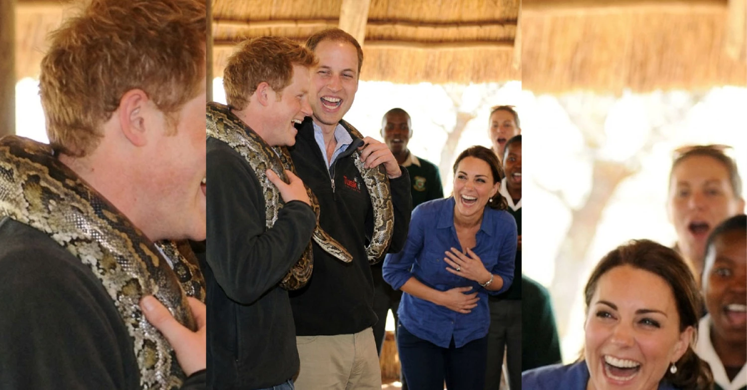 Prince William and Prince Harry’s Best Brotherly Banter!