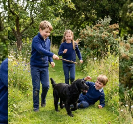 The British Royal Family Welcomes a New Furry Member: Peter the Dog